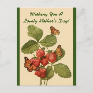 Vintage Butterflies Mom's Day Postcard