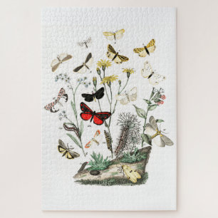 Vintage Butterflies & Moths Illustration Art Jigsaw Puzzle