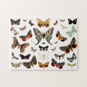 Vintage Butterflies & Moths  Illustration Art Jigsaw Puzzle
