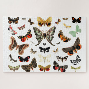 Vintage Butterflies & Moths  Illustration Art Jigsaw Puzzle