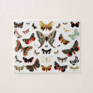 Vintage Butterflies & Moths Illustration Art Jigsaw Puzzle