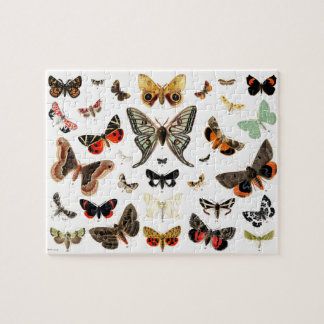 Vintage Butterflies & Moths Illustration Art Jigsaw Puzzle