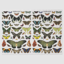 Vintage Butterflies Pattern Collage Decoupage