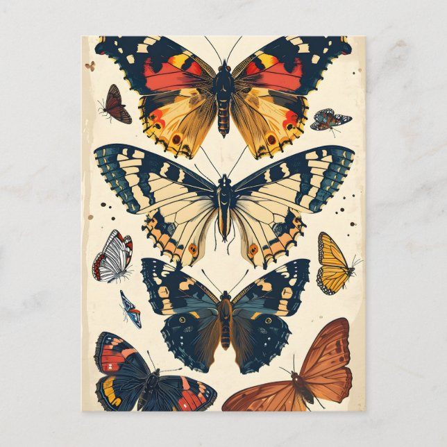 Vintage Butterflies Postcard (Front)