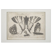 Vintage Butterflies Wasp Insect Tapestry (01)