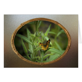 Vintage Butterfly