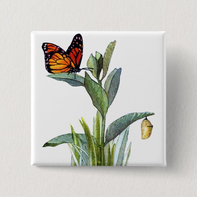 Vintage Butterfly 2 Inch Square Button (Front)