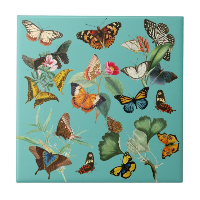 Vintage Butterfly Art, Many Kinds & Colours Tile (Front)