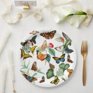 Vintage Butterfly Art, Many Kinds & Colours, White Paper Plate