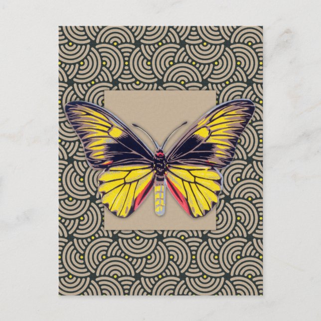 Vintage Butterfly Art Postcard (Front)