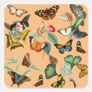 Vintage Butterfly Art, Yellow Orange Background Square Sticker