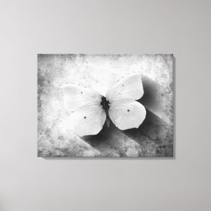 Vintage Butterfly Black and White Canvas Print