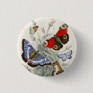 Vintage Butterfly Botanical Scientific Illustratio 1 Inch Round Button