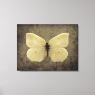 Vintage Butterfly Canvas Print