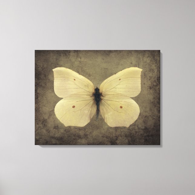 Vintage Butterfly Canvas Print (Front)