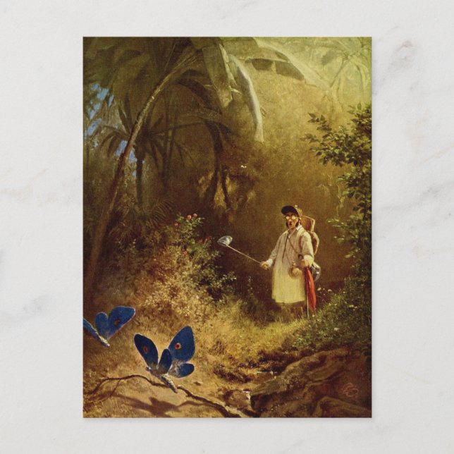 Vintage Butterfly Catcher Postcard (Front)