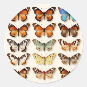 Vintage Butterfly Collection Grid Display Classic Round Sticker