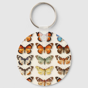 Vintage Butterfly Collection Grid Display Keychain