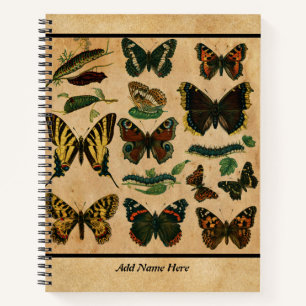 Vintage Butterfly Customizable Name Notebook
