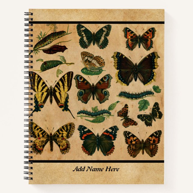 Vintage Butterfly Customizable Name  Notebook (Front)