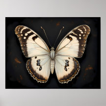 Vintage Butterfly Elegance, Timeless Nature
