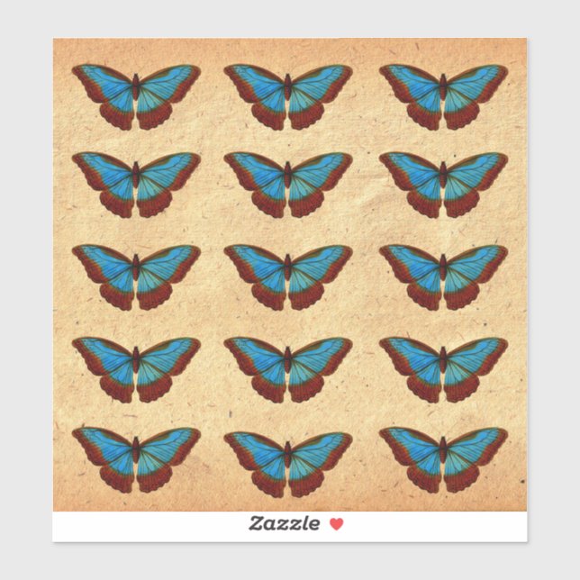 Vintage Butterfly Illustration (Sheet)