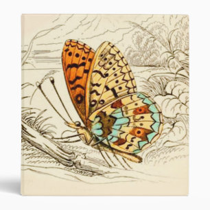 Vintage Butterfly Illustration, Orange and Beige Binder
