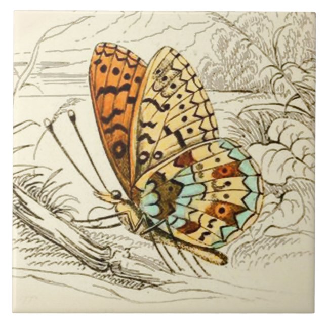 Vintage Butterfly Illustration, Orange and Beige Tile (Front)