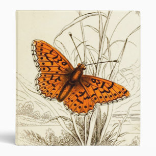 Vintage Butterfly Illustration, Orange and Black Binder