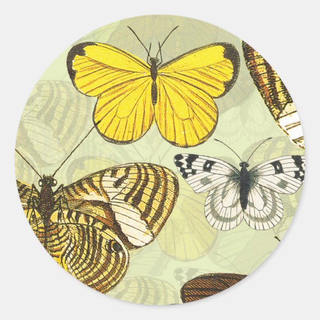 Vintage Butterfly Moth Chart Pattern Classic Round Sticker (Front)