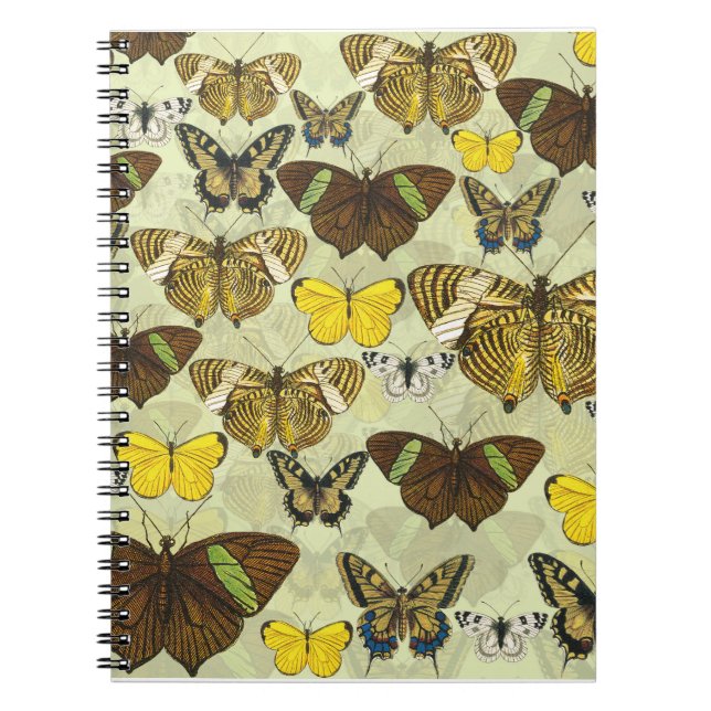 Vintage Butterfly Moth Chart Pattern Notebook (Front)