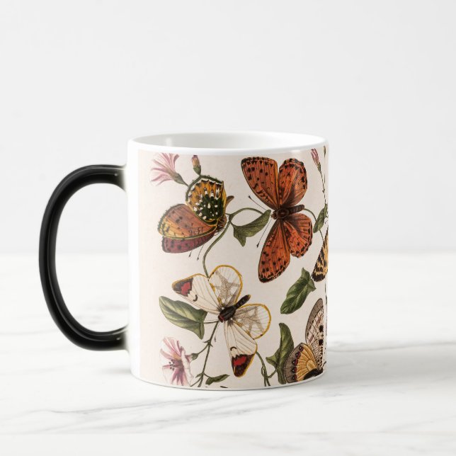 Vintage Butterfly & Moth  Magic Mug (Left)