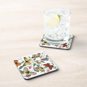 Vintage Butterfly & Moth Painting Coaster