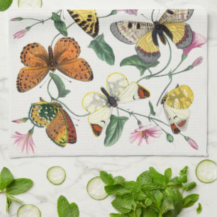 Vintage Butterfly & Moth Painting Kitchen Towel