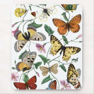 Vintage Butterfly & Moth Painting Mouse Pad