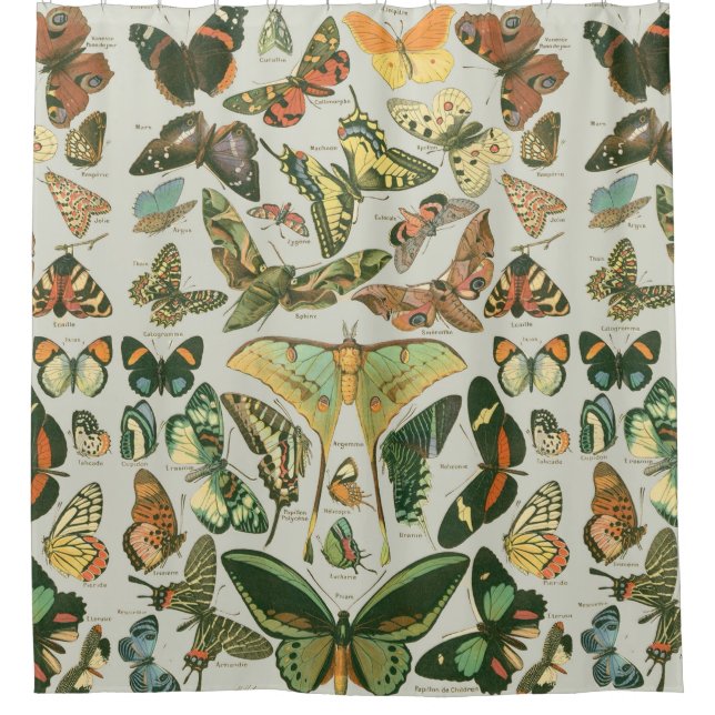 Vintage Butterfly Moth Pattern Print (Front)