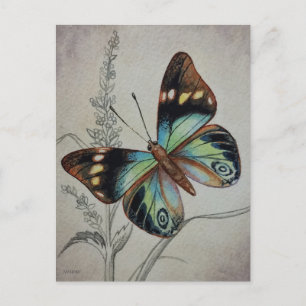 Vintage Butterfly No. 1 Watercolor Art Postcard