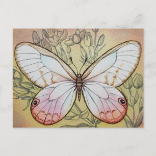 Vintage Butterfly No. 6 Watercolor Art Postcard