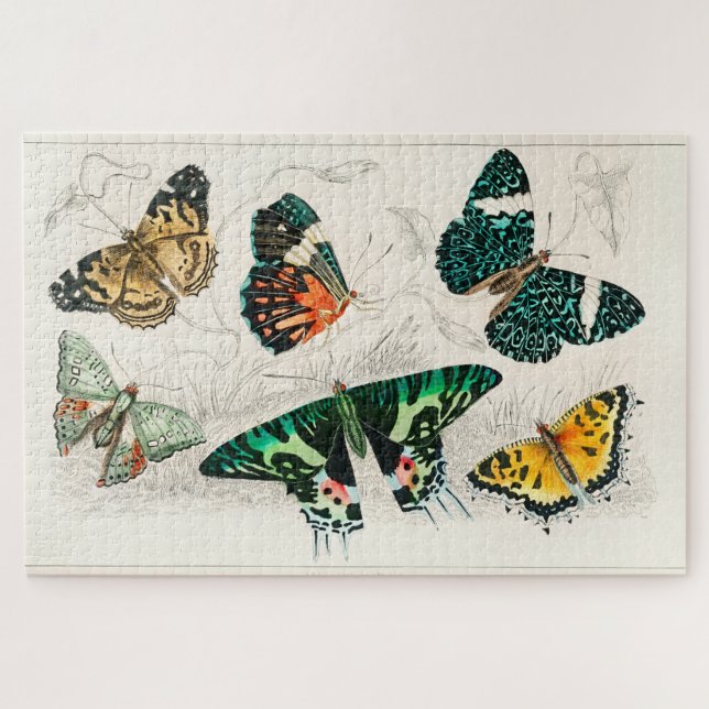 Vintage Butterfly Old Illustration Art Jigsaw Puzzle (Horizontal)