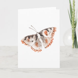 Vintage Butterfly Old Illustration Card