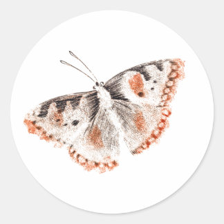Vintage Butterfly Old Illustration Classic Round Sticker