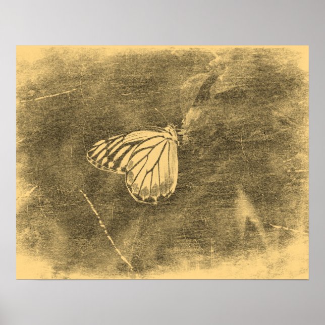 Vintage Butterfly on Flower #2 Posters (Front)
