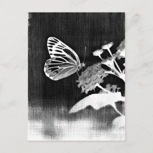 Vintage Butterfly on flower - Black and White Postcard