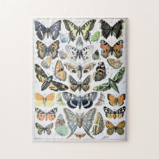 Vintage Butterfly Papillon Old Illustration Art Jigsaw Puzzle