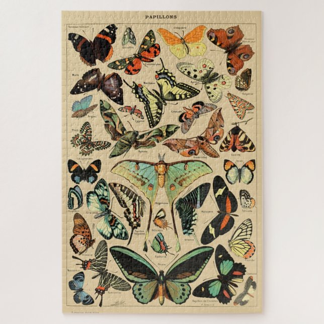 Vintage Butterfly Papillon Old Illustration Art Jigsaw Puzzle (Vertical)
