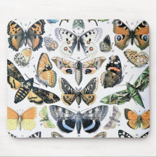 Vintage Butterfly Papillon Old Illustration Art Mouse Pad