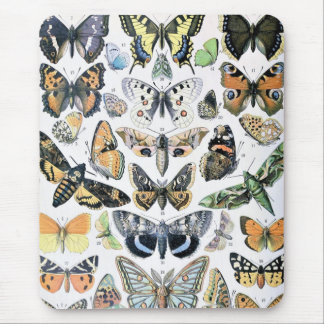 Vintage Butterfly Papillon Old Illustration Art Mouse Pad