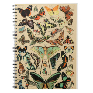 Vintage butterfly/papillons Notebook