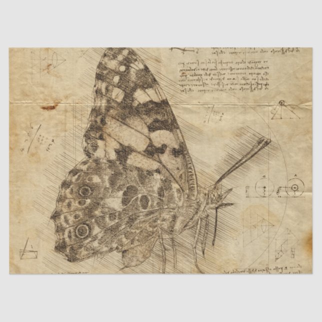 Vintage Butterfly | Rustic Style | Decoupage Tissue Paper (Front)