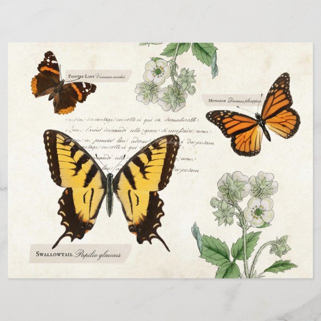 Vintage Butterfly Swallowtail Monarch Painted Lady (Front)